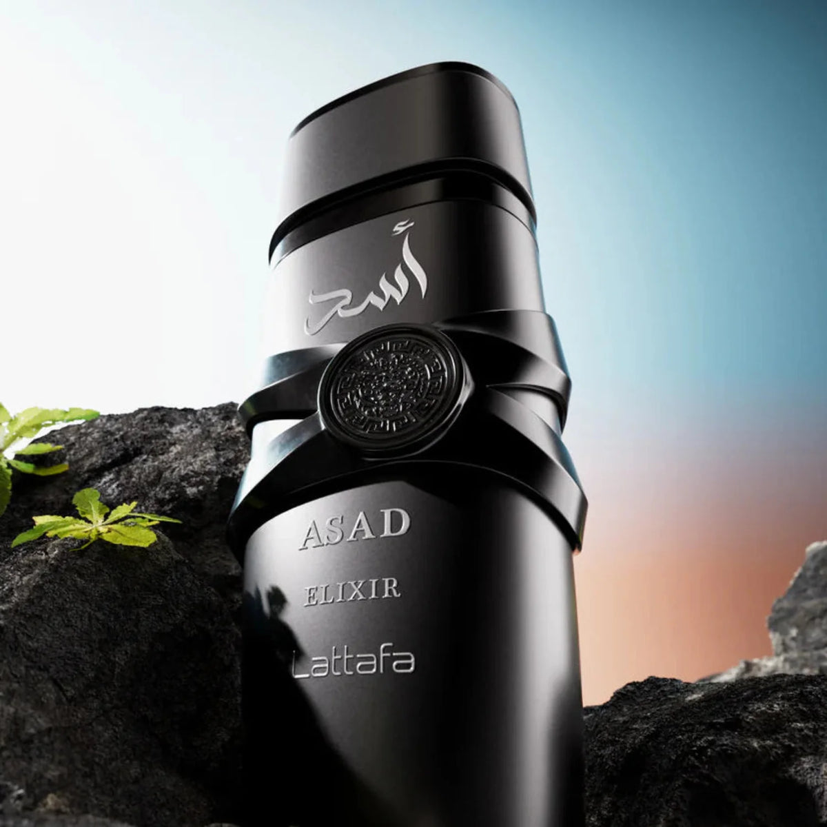 Lattafa Asad Elixir 100ML men's Eau de Parfum bottle outdoors on rock, showcasing the elegant glass bottle and dark fragrance liquid.