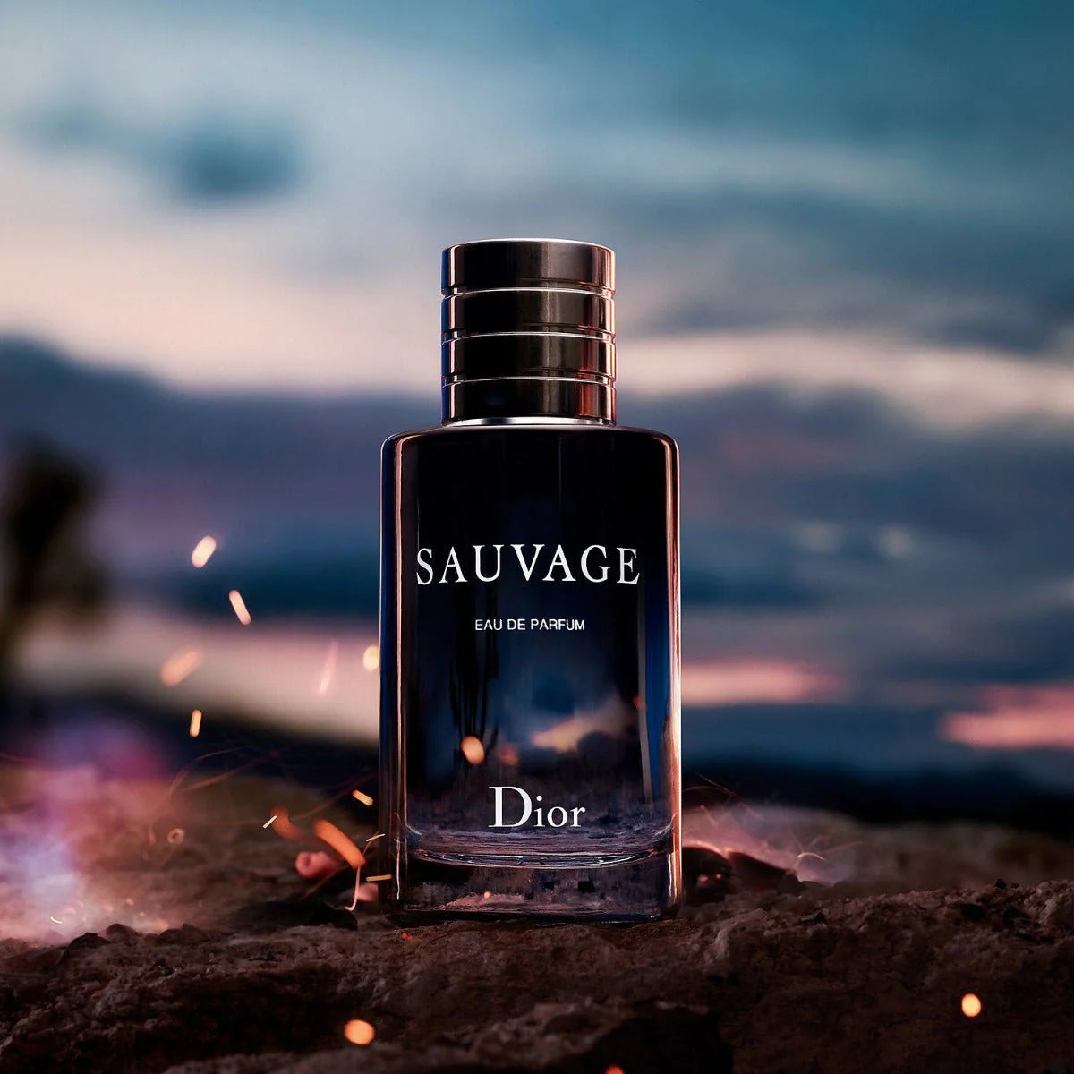 Christian Dior Sauvage Eau de Parfum 100ml bottle with sleek design and dark blue accents on white background